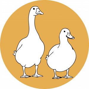 Ente und Gans als Illustration