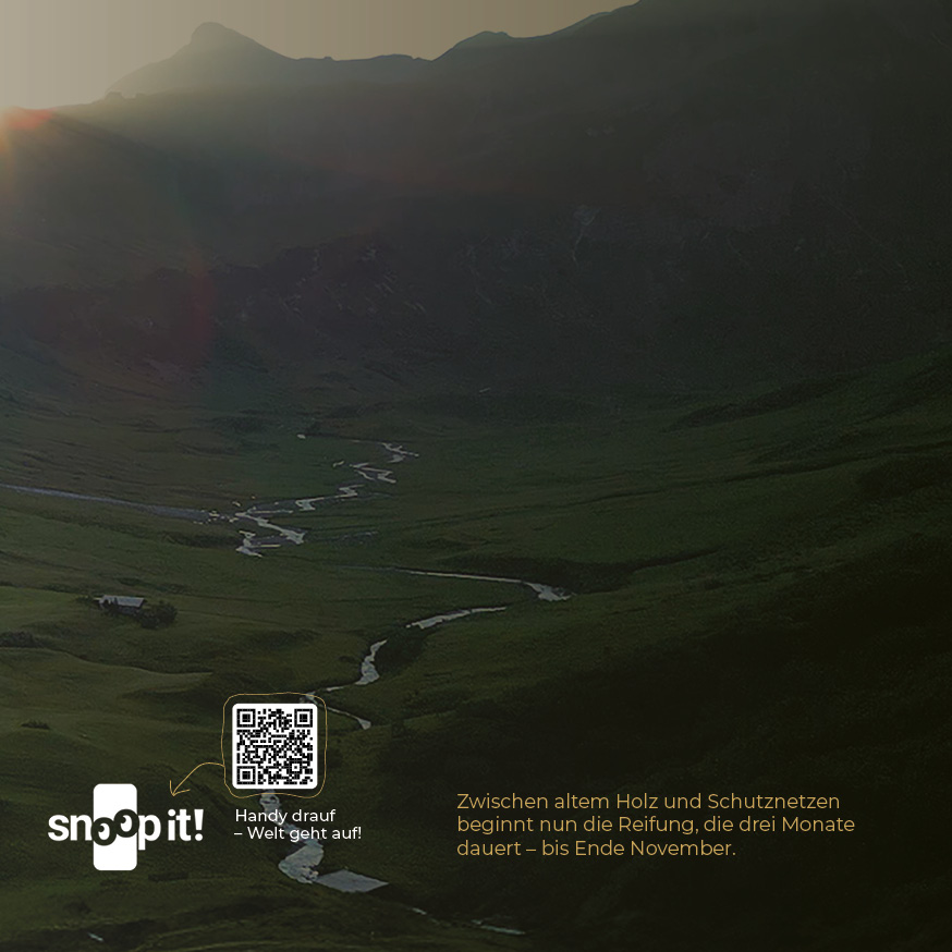 Seite aus der Valluga-Broschüre, auf der das Snoop-It-Logo abgebildet ist und ein QR-Code.