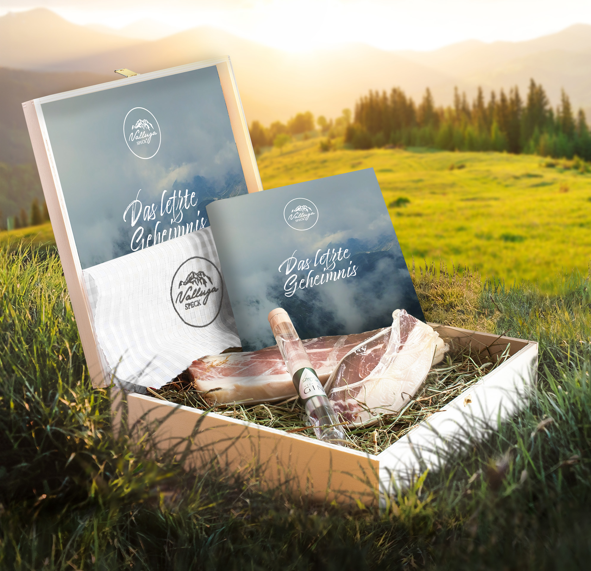 Valluga Box auf Bergwiese